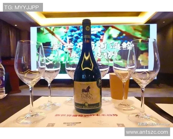 智利与澳大利亚全场对决精彩回顾与赛后分析