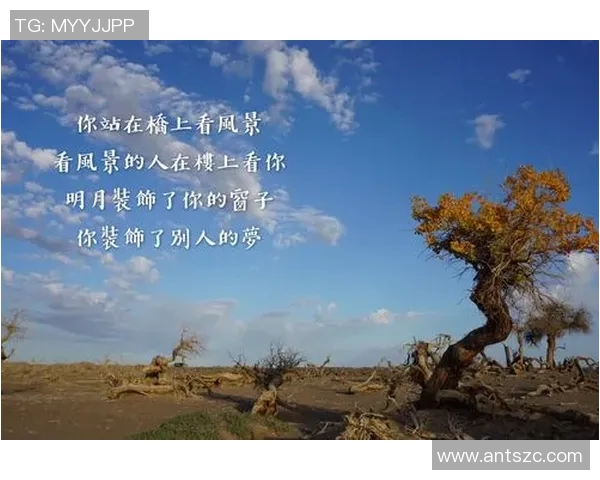 焦泊乔的奋斗历程与人生哲学探索:从平凡到卓越的心路历程 焦泊乔的奋斗历程与人生哲学探索:从平凡到卓越的心路历程