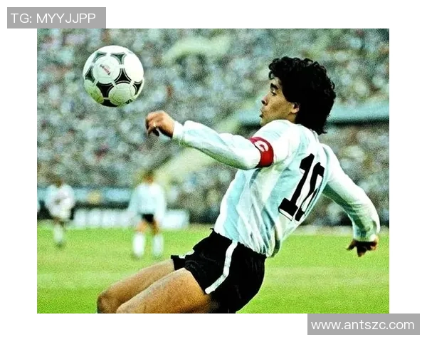 克劳斯与方便的较量：谁能在现代生活中赢得更多青睐