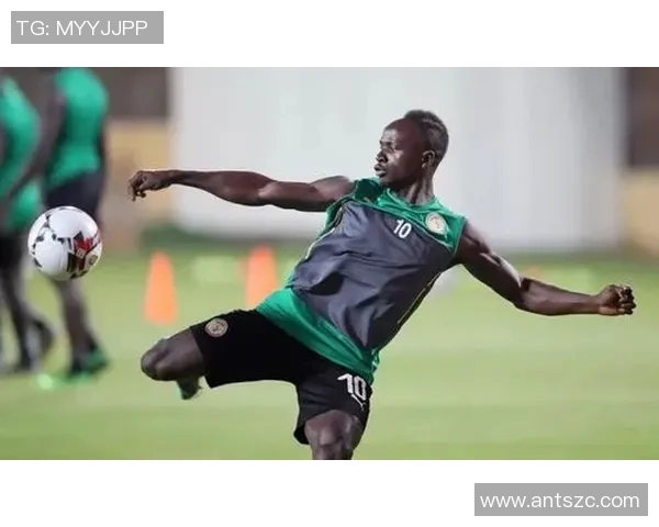 南非与塞内加尔激战在即11月11日精彩对决值得期待